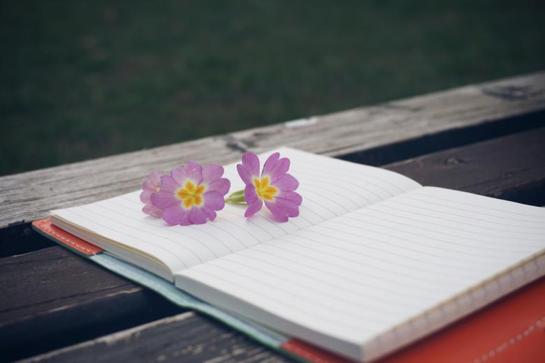 Free stock image of Diary on the Bench created by Pixabay