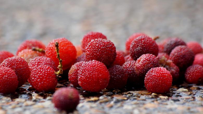 Free stock image of Fresh Berries created by Pixabay