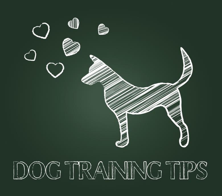 Free stock image of Dog Training Tips Shows Instruction Skills And Coaching created by Stuart Miles