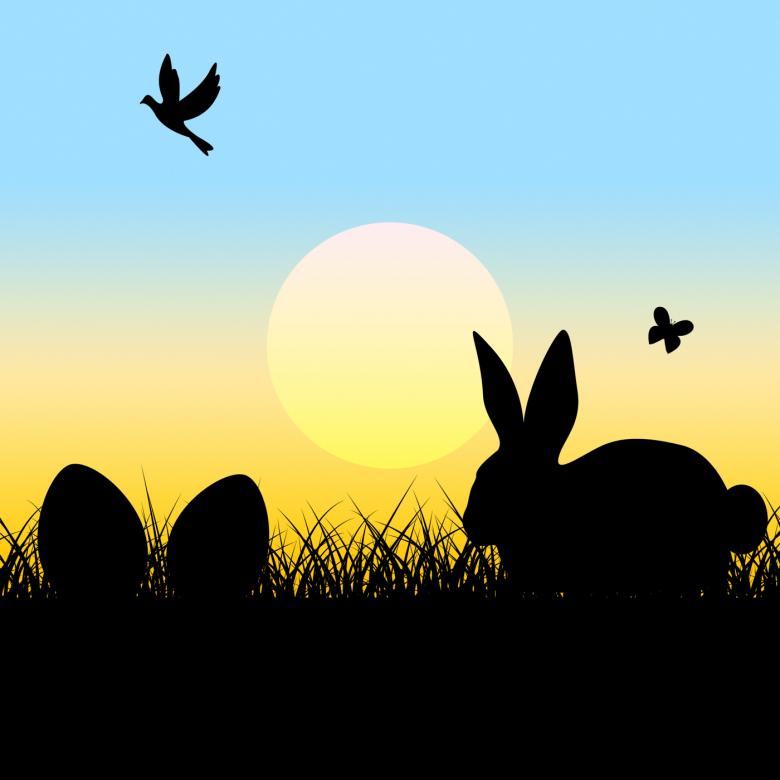 Free stock image of Easter Eggs Indicates Blank Space And Copy created by Stuart Miles
