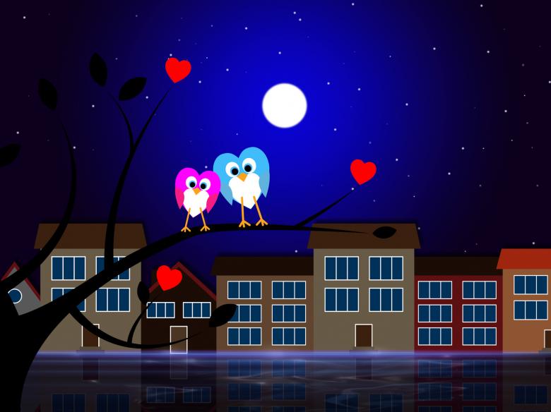Free stock image of Moon Owls Represents Night Time And Apartment created by Stuart Miles