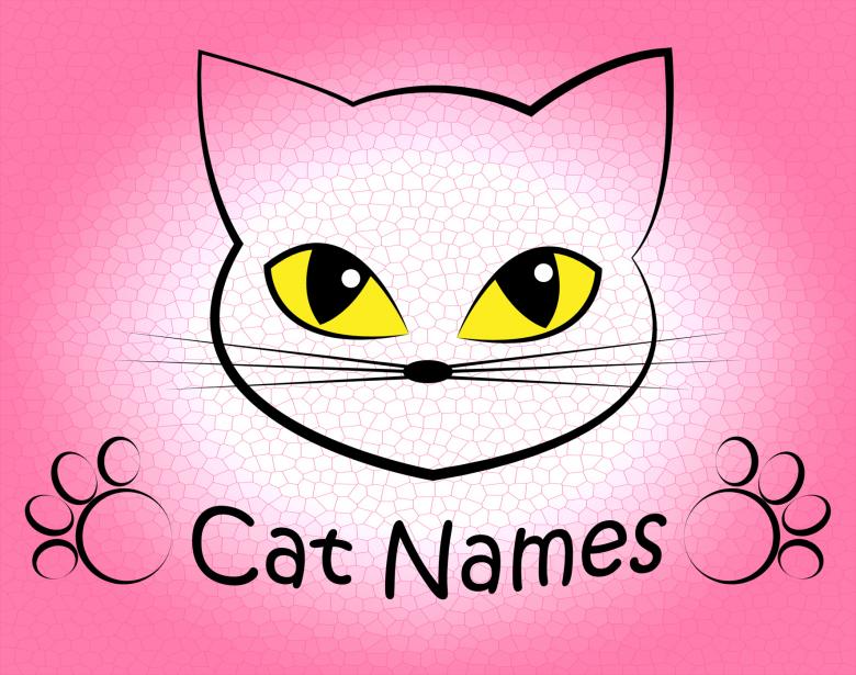 Free stock image of Cat Names Represents Kitty Pets And Feline created by Stuart Miles