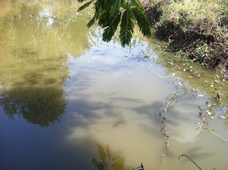 Free stock image of The River in Spring created by soeurnsen