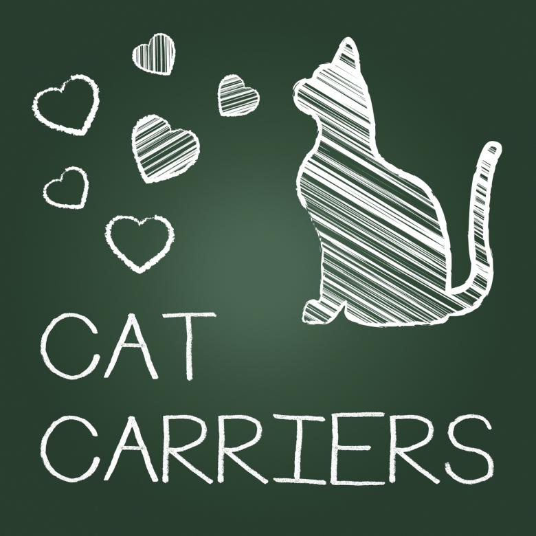 Free stock image of Cat Carriers Indicates Pedigree Container And Kitty created by Stuart Miles