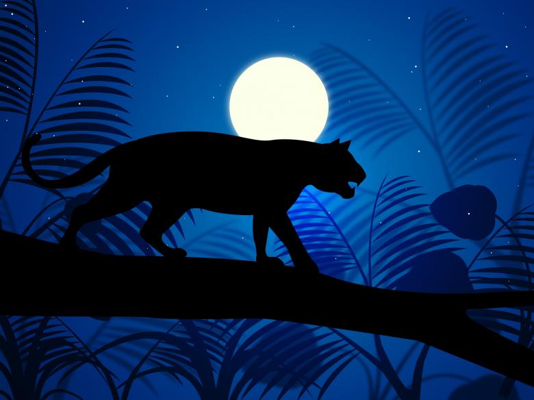 Free stock image of Tiger On Tree Indicates Wild Animals And Beast created by Stuart Miles