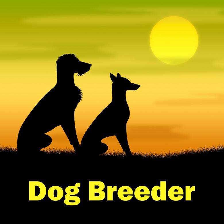 Free stock image of Dog Breeder Indicates Husbandry Breeding And Mate created by Stuart Miles
