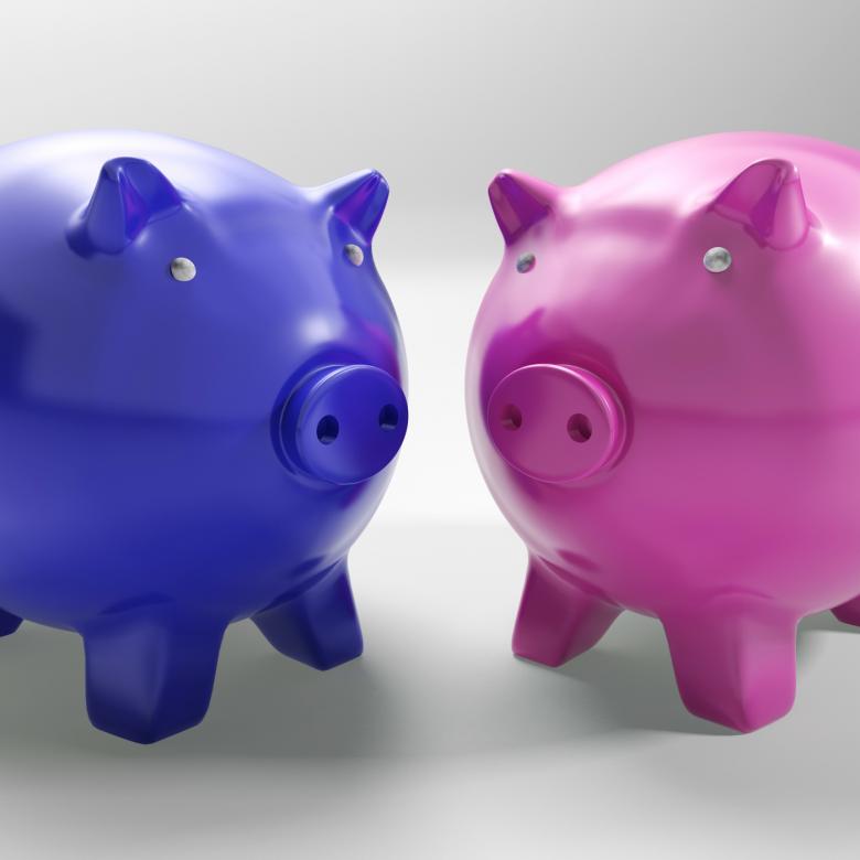 Free stock image of Two Pigs Shows Mirror Exchange And Wealth created by Stuart Miles