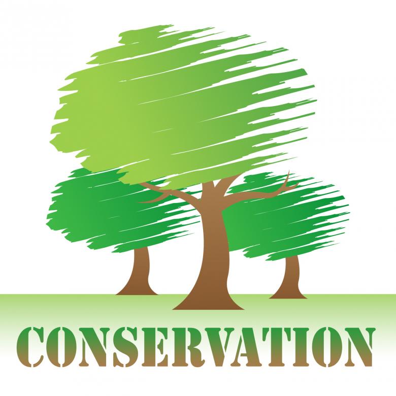 Free stock image of Conservation Trees Indicates Go Green And Eco created by Stuart Miles