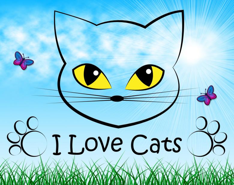 Free stock image of Love Cats Shows Tenderness Pedigree And Passion created by Stuart Miles