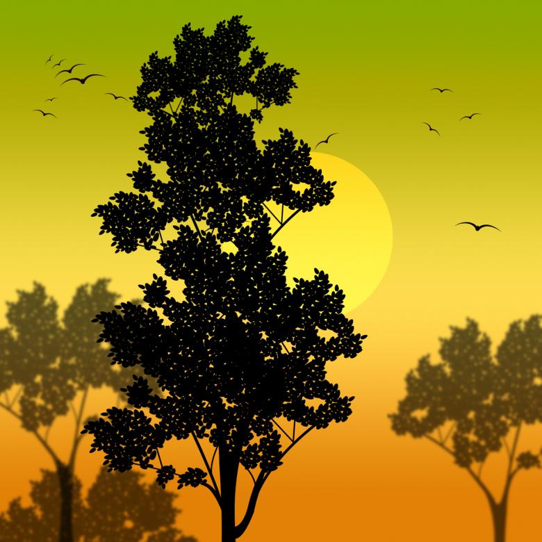 Free stock image of Countryside Sunset Represents Scene Meadows And Reforestation created by Stuart Miles