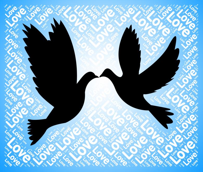 Free stock image of Love Doves Means Tenderness Loving And Affection created by Stuart Miles