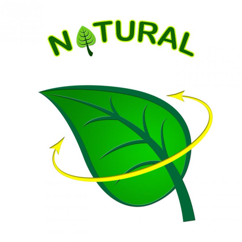 Free stock image of Eco Friendly Shows Earth Day And Conservation created by Stuart Miles