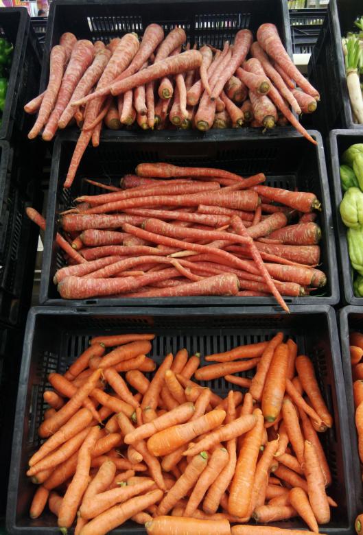 Free stock image of Fresh Carrots created by kiraan