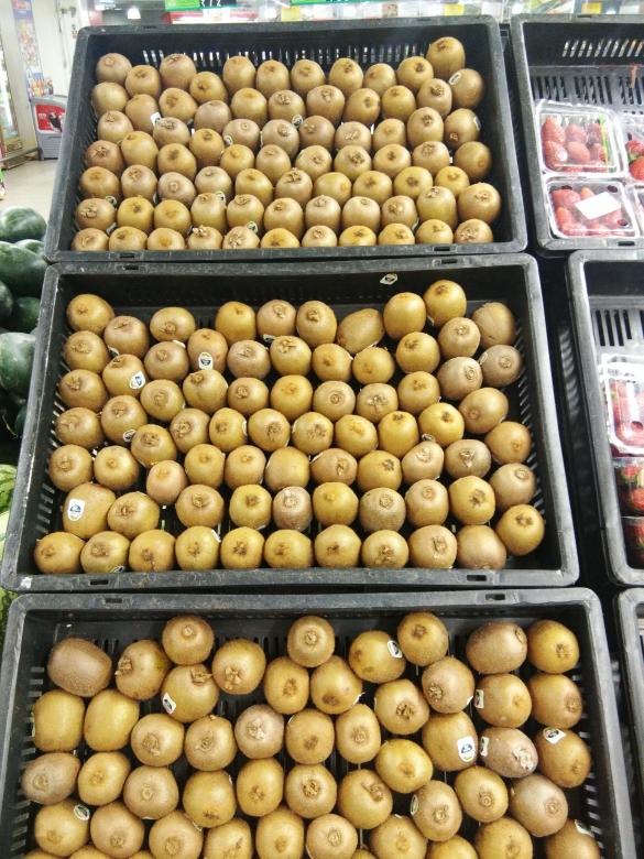 Free stock image of Kiwi Fruits created by kiraan