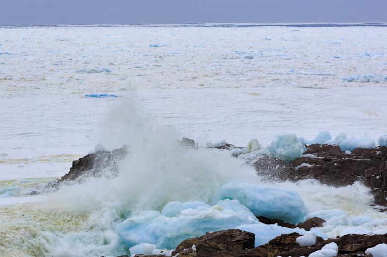 Free stock image of Coastal Ice and Sea created by Geoffrey Whiteway