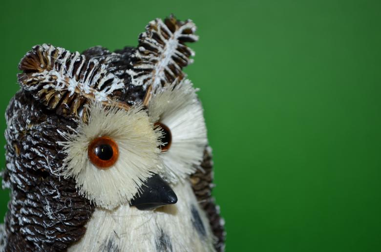 Free stock image of Owl created by Ludmila
