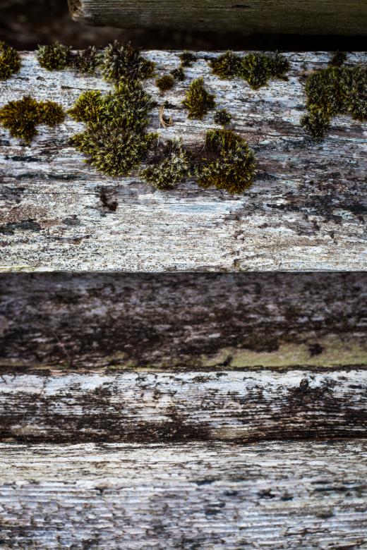 Free stock image of Old Wooden Fence Texture created by Bjorgvin