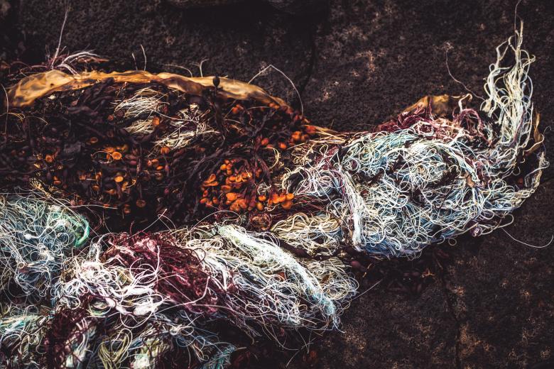 Free stock image of Seaweed in Fishnet Texture created by Bjorgvin