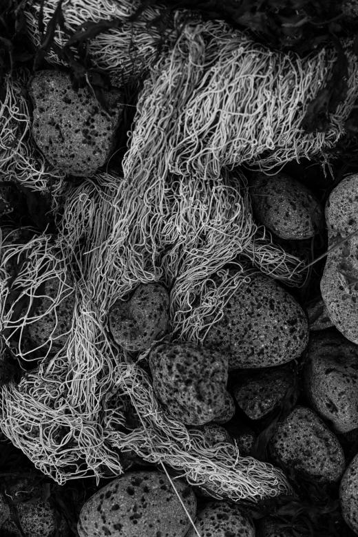 Free stock image of Old Tangled Fishing Net created by Bjorgvin