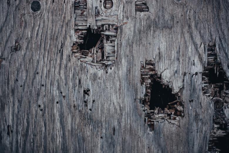 Free stock image of Holed Grunge Wood Texture created by Bjorgvin