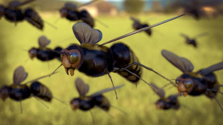 Free stock image of Group of Wasps created by Pixabay