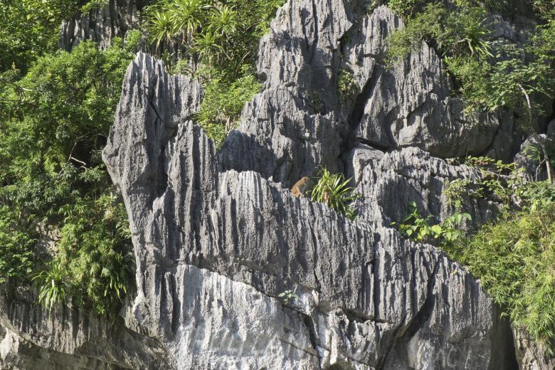Free stock image of Ha Long Bay Cliffs created by Jie-Jie 李介介