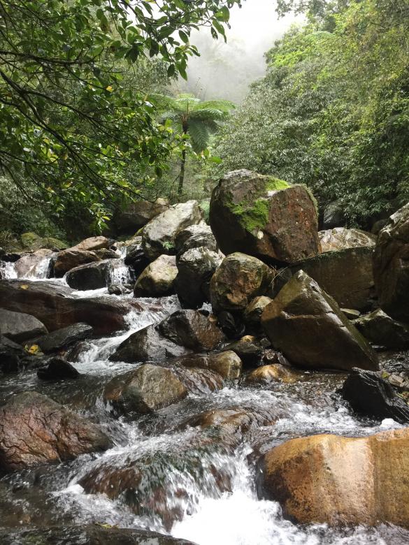 Free stock image of Small Rapids created by Chen Yen Ju