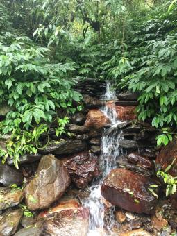 Small Water Stream - Free Stock Photo