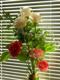 Flower Bouquet - Free Stock Photo