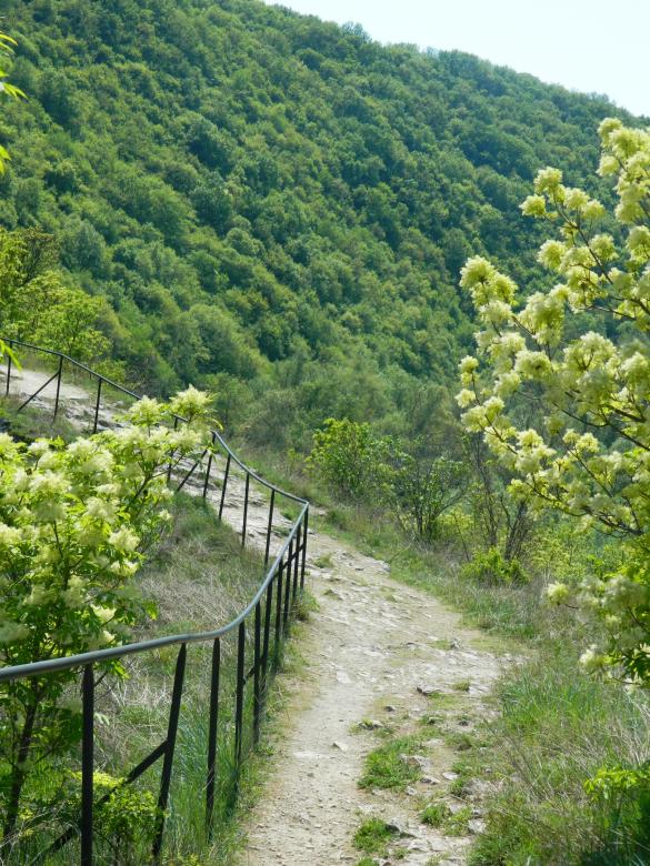 Free stock image of Nature Road created by Hulya Yılmaz