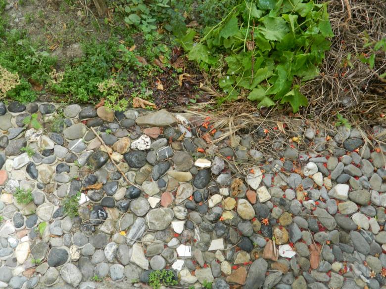 Free stock image of Stone Floor  created by Hulya Yılmaz