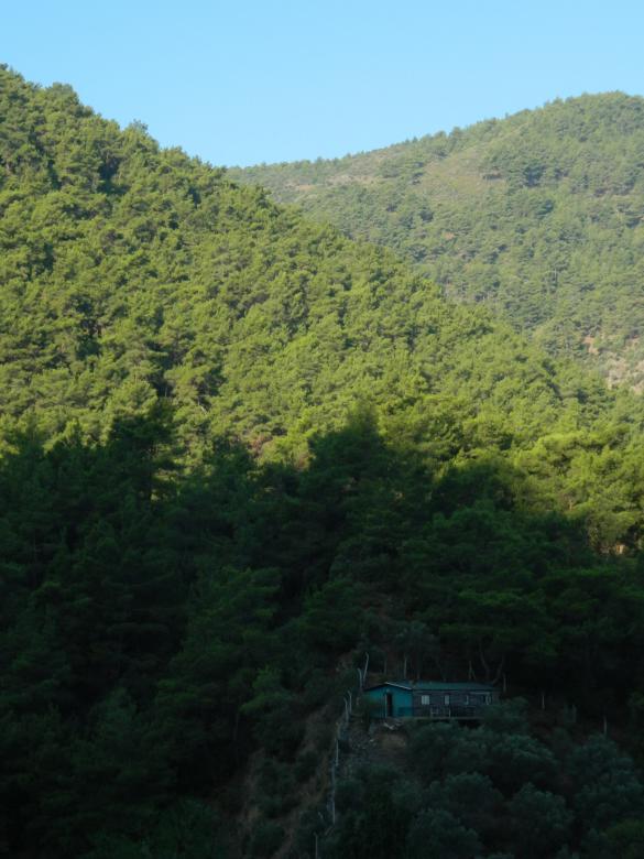 Free stock image of Old House in Green Nature created by Hulya Yılmaz