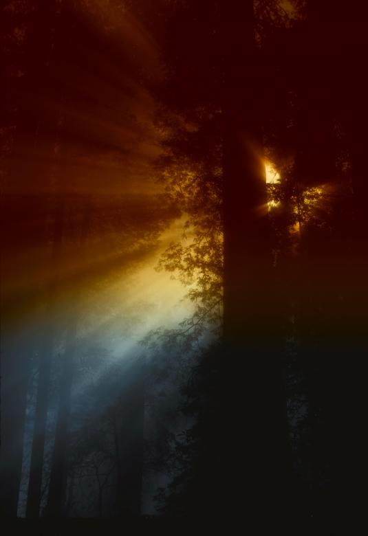 Free stock image of Ray of Light created by Pixabay