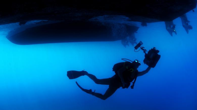 Free stock image of Water Diver created by Pixabay
