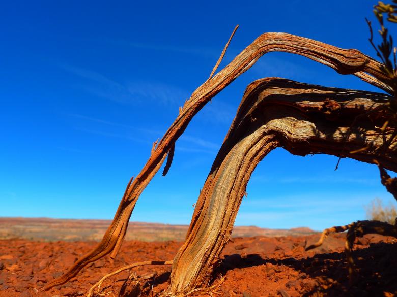 Free stock image of In the Desert created by Pixabay