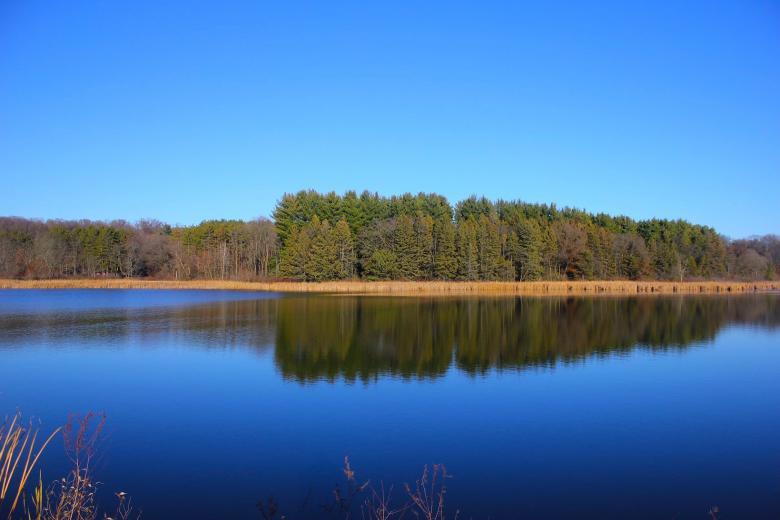 Free stock image of By the Lake created by Pixabay