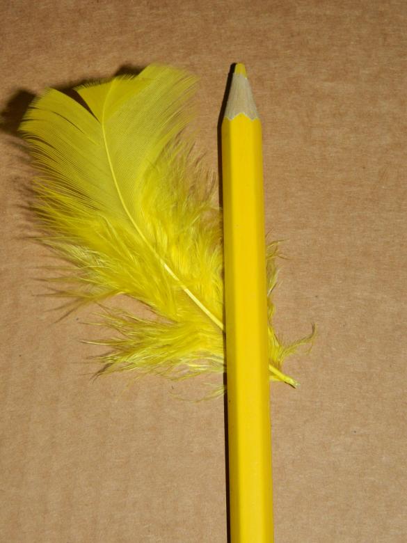 Free stock image of Yellow Colur created by Hulya Yılmaz