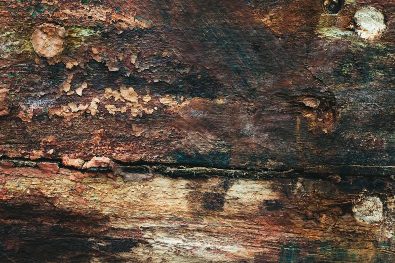 Free stock image of Grungy Wood Surface created by Bjorgvin