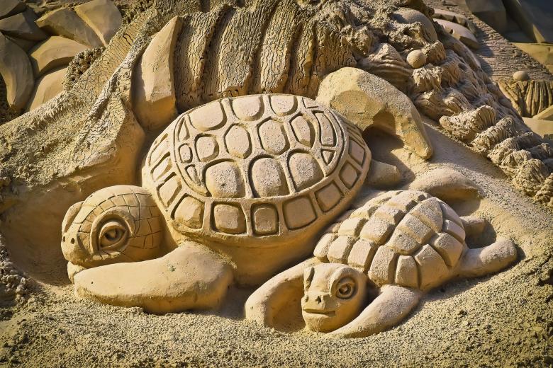 Free stock image of Sandy Turtle created by Pixabay