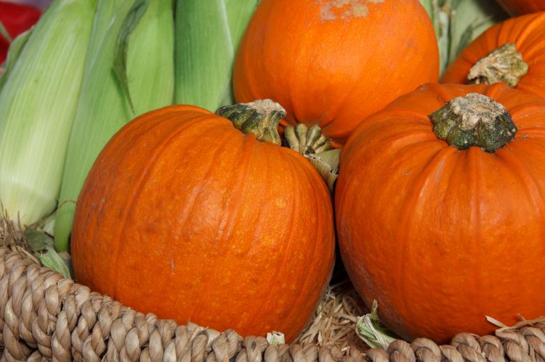 Free stock image of Autumn Season created by Pixabay