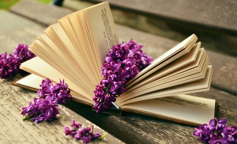 Free stock image of Book and Flowers created by Pixabay