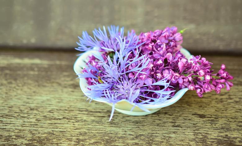 Free stock image of Fresh Flowers created by Pixabay