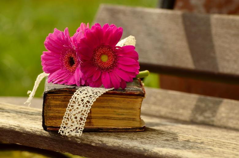 Free stock image of Gerbera and old Book created by Pixabay