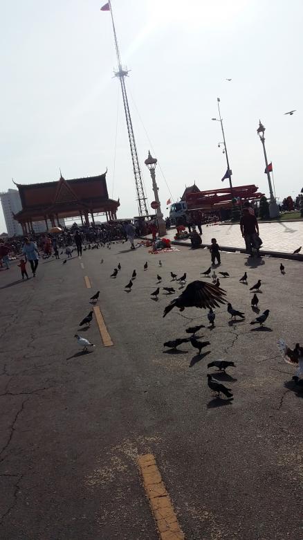 Free stock image of Royal Palace​ with Doves created by Anong Lov