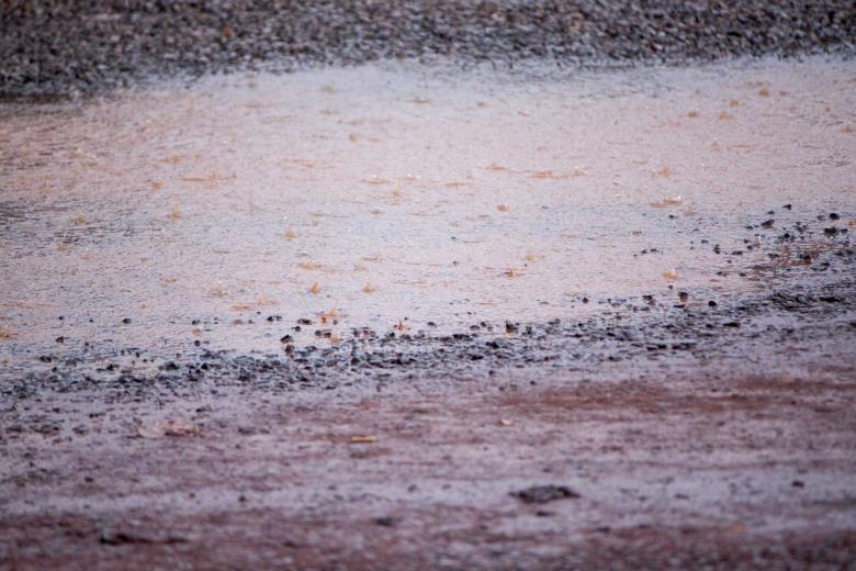 Free stock image of Muddy puddle in hard rain created by Eduardo Soares Bogosian