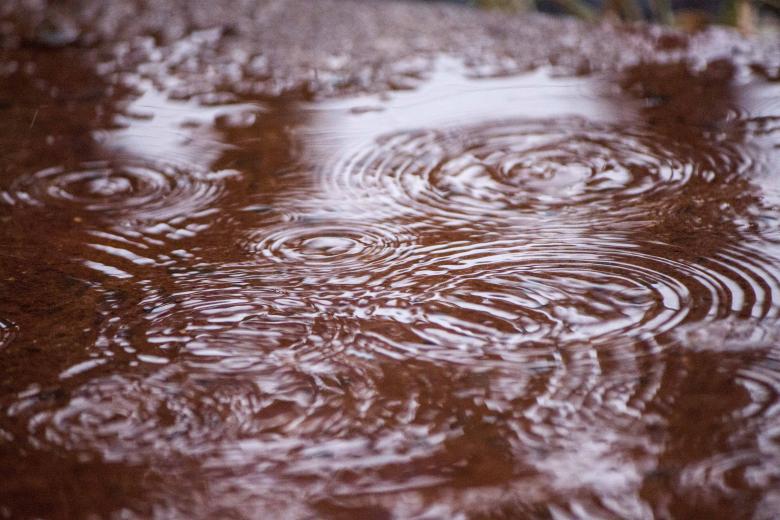 Free stock image of Raindrops on water puddle created by Eduardo Soares Bogosian