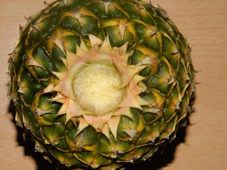 Free stock image of Pineapple created by Hulya Yılmaz