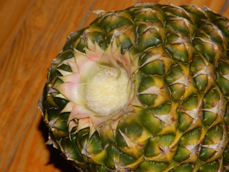 Free stock image of Pineapple Shot created by Hulya Yılmaz