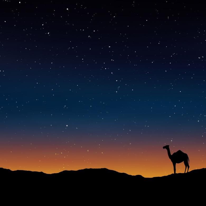 Free stock image of Camel in the Desert created by Pixabay