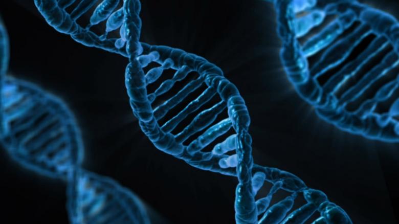 Free stock image of Dna created by Pixabay
